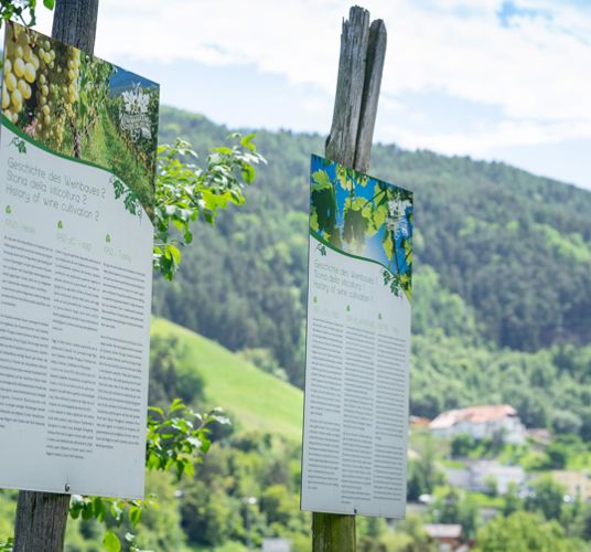Informational posters on the Wine Hiking Trail